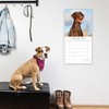 2026 Square Wall Calendar, Dobermans, 16-Month Paw Prints Theme with 180 Reminder Stickers (12x12 In) - 2 of 4