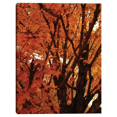 33" x 25" Red Autumn Leaves by Kathy Mansfield Framed Wall Canvas - Masterpiece Art Gallery