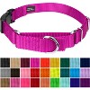 Country Brook Petz Heavy Duty Nylon Martingale Dog Collar with Deluxe Buckle - 30+ Vibrant Color Options - 2 of 4