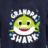 Boys' - Baby Shark - Grandpa Shark Graphic Long Sleeve Fleece Sweatshirt - 2 of 4