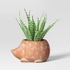 6" Wide Hedgehog Outdoor Terracotta Planter Pot - Threshold™ - image 3 of 4