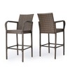 Osparple Set of 2 Outdoor Bar Stools,Outdoor Counter Bar Stools with Metal Frame and Wicker Design for Backyard,Garden - 2 of 4
