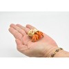 Collectible Wildlife Gifts | Hermit Crab, Plastic Crustaceans Design, Hand Painted, Toy,  Realistic Figure,  Model, Gift,   2" CWG236 B306 - 3 of 4