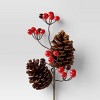 4pc Christmas Pick Set 2 Iced Pinecone 2 Red Berry with Pinecones - Wondershop™ - 4 of 4