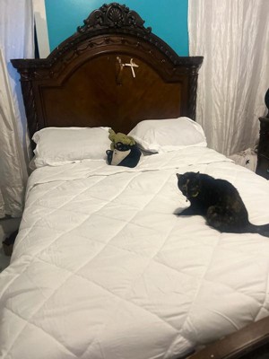 Guest review image 1 of 3, zoom in