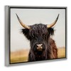 Stupell Industries Black Highland Cow Portrait, 31" x 25" - 3 of 4