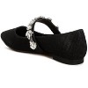 Flavia Diamante Brooch Glitter Women Ballerinas - 3 of 4