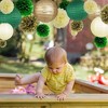 Empire DigiLabs Elegant Round Decorative Paper Lanterns - 2 of 3