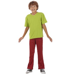 HalloweenCostumes.com Small  Boy  Scooby Doo Shaggy Costume for Kids,  Hippie Green Shirt Costume for Halloween, Brown/Green - 1 of 4