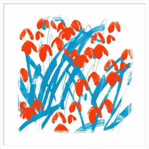 33" x 33" Red Snowdrops by Jenny Frean Wood Framed Wall Art Print - Amanti Art: Giclee Print, Botanical Lithograph, Hardwood Frame - 1 of 4