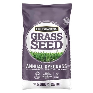 Pennington Annual Ryegrass Sun or Shade Grass Seed 25 lb - 1 of 1