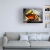 Trademark Fine Art -Joe Felzman Photography 'Apple In A Gold Bowl' Canvas Art - 2 of 4