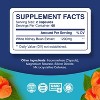 White Kidney Bean Extract Capsules, Extract for Enhanced Energy Digestion & AMPK Activation, Antioxidant Rich Starch Inhibitor, Phytoral, 120ct - 3 of 4
