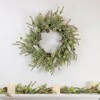 Northlight Artificial Christmas Wreath with Frosted Foliage and Pine Cones - 24" - Unlit - 2 of 4