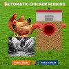Automatic Chicken Feeder 30 Lb Capacity 6 Port Large Metal Chicken Feeders - No Waste Poultry Feeder with Locking Lid - 3 of 4