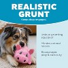 ZippyPaws Outward Hound Fattiez Pig Plush Squeaky Dog Toy, Small - 4 of 4