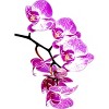 Junior's Design By Humans Orchid By jirkasvetlik T-Shirt - 2 of 3