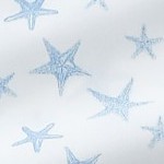 starfish - blue