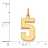 Black Bow Jewelry 14k Yellow Gold, Athletic Collection Medium Polished Number 5 Pendant - 4 of 4