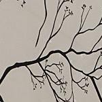 branches