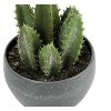 Monarch Specialties Artificial Plant 6 inch Tall Succulent Indoor Faux Fake Table Greenery Potted Set Of 3 Decorative Green Plants Grey Cement Pots - 4 of 4