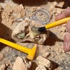 Educational Insights GeoSafari Jr. Fossil Excavation Kit - image 3 of 3