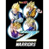 Dragon Ball Z Boys Shirt Boys Black Z Warriors Dragon Ball Z Clothing - 2 of 3