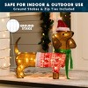 JOYFY 30’’ Christmas Yard Lights Outdoor Decoration, Wiener Dog with 40 LED Warm White Yard Light for Christmas Indoor Outdoor Yard Garden Decorations - 3 of 4