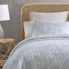 Palmday Quilt & Sham Set - Tommy Bahama - 2 of 4