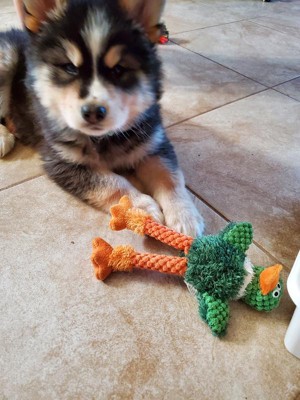 Guest review image 2 of 2, zoom in