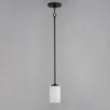 Maxim Lighting Deven 1 - Light Pendant in  Black - 3 of 4