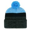 NFL Carolina Panthers Freezer Knit Beanie - image 2 of 2