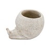 Okak 9x5.5x5.7 Inches Sand and Cement Conch Shell Planter Textured Finish for Indoor and Outdoor Use, Decorative Plant Pot - 2 of 4