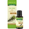 Nature's Truth Tea Tree Aromatherapy Essential Oil - 0.51 fl oz - image 2 of 4