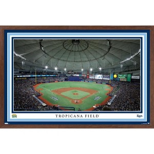 Trends International MLB Tampa Bay Rays - Tropicana Field 22 Framed Wall Poster Prints - 1 of 4