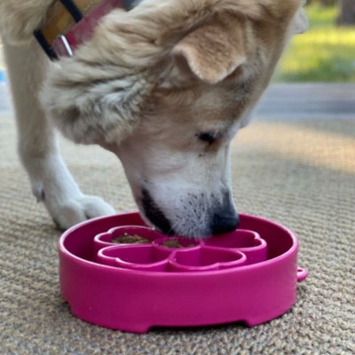 Pink Flower Design Slow Feeder Dog Bowl