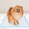 Tangkula 18"x 13"(300 Counts) Dog Potty Training Pads Puppy Pee Pads w/ Quick-Drying - 2 of 4