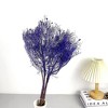Alilang Decorative Dried Ming Fern Stems for Elegant Home Decoration and Creative Floral Arrangements, 19.5 Inches - 3 of 3