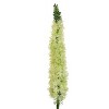 Floral Home 47" Green Foxtail Spray - 6-Piece - 3 of 3