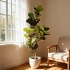 Racxily 6FT Artificial Fiddle Leaf Fig Tree with Black Pot, Real Touch Fake Indoor Plant for Home Office Living Room Corner Decoration, 1pc/set - 2 of 4