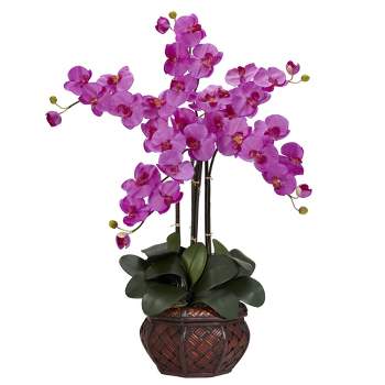 31" x 28" Artificial Phalaenopsis Orchid Arrangement in Vase Purple - Nearly Natural