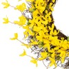 Northlight Forsythia and Grapevine Artificial Floral Wreath - Yellow - 24" - 4 of 4