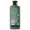 Herbal Essences Bio:renew Sulfate Free Shampoo for Anti Frizz Control with Hemp & Potent Aloe - 13.5 fl oz - image 3 of 4