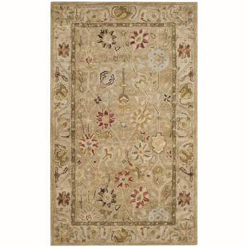 Antiquity AT859 Hand Tufted Area Rug  - Safavieh