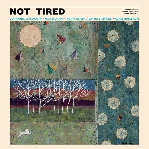 Johannes Wallmann - Not Tired (CD) - 1 of 1