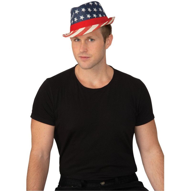 Rubies Adult Patriotic Fedora One Size Fits Most, 3 of 4