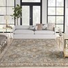 Nourison Petra Oramental Indoor Rug - 4 of 4