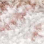 cream, pale pink, plum, peach