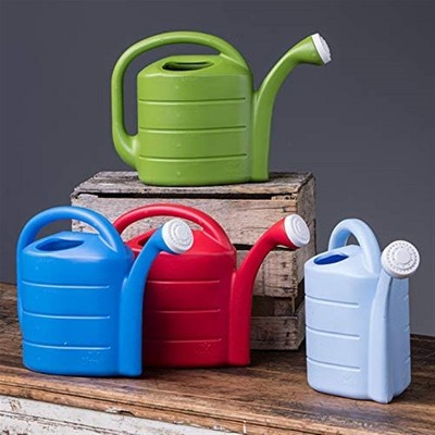 Green 2-Gallon Plastic Watering Can with Removable Nozzle