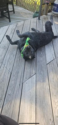 Guest review image 1 of 1, zoom in